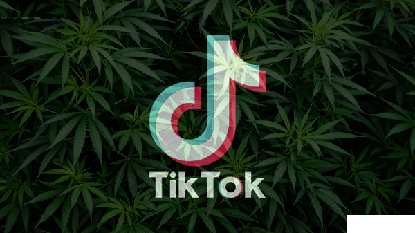 Weed TikTok Accounts