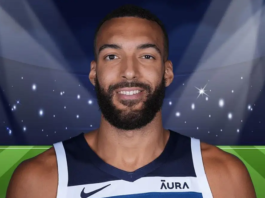 Is Rudy Gobert's Wife Pregnant